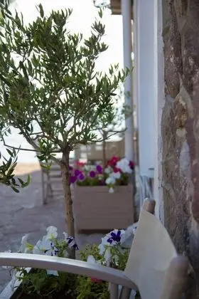 Olive Press Hotel & Apartments - Dış Mekan