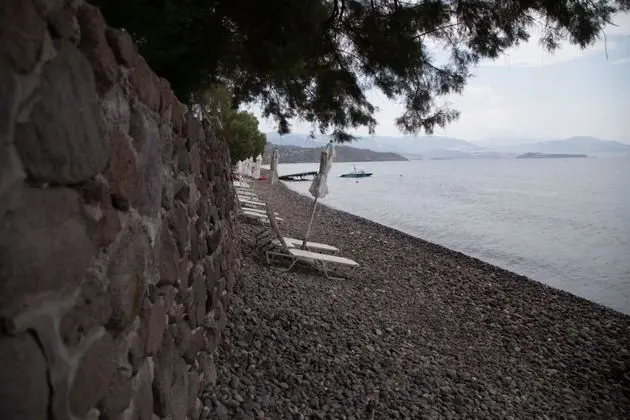 Olive Press Hotel & Apartments - Plaj
