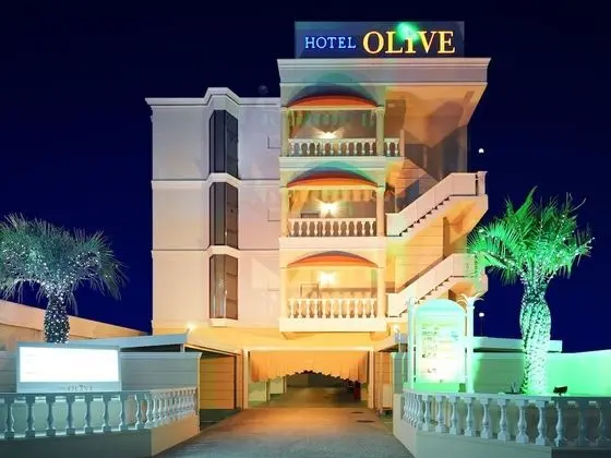 Hotel Olive Sakai - Dış Mekan