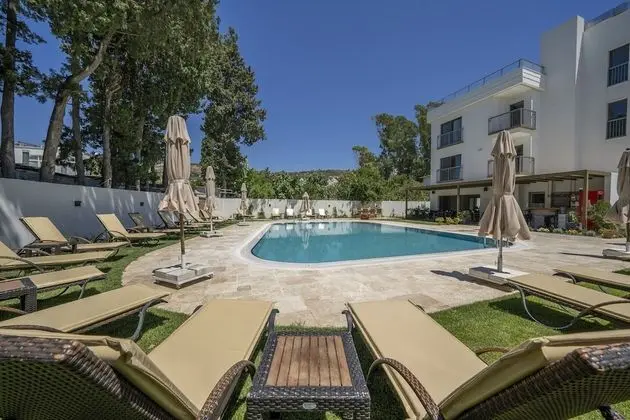 Olive Tree Gündoğan