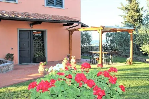 Olivo a Gambassi Terme