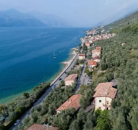 Villa Olivo - Öne Çıkan Resim