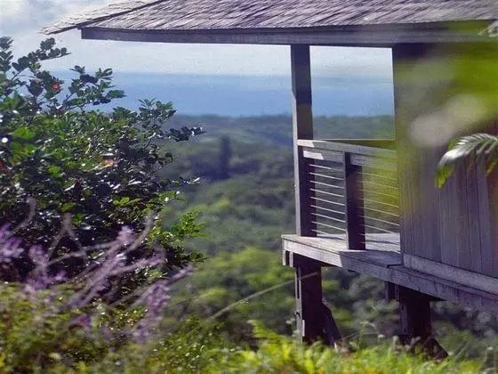 O'Luina