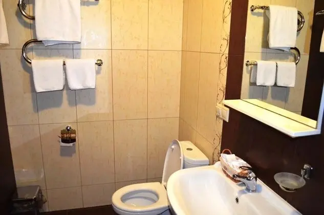 Olympia Krasnodar Hotel - Banyo Tipleri