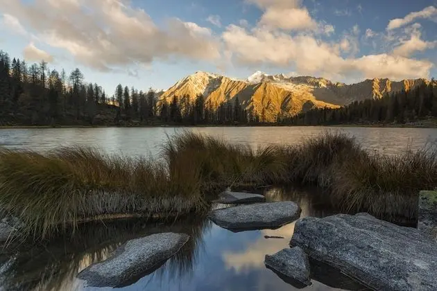 Olympic Regina Hotel