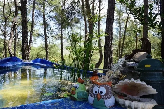 Olympos Mitolojik Tanrılar Kulübü - Genel