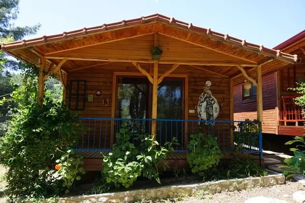 Olympos Mitolojik Tanrılar Kulübü - Genel