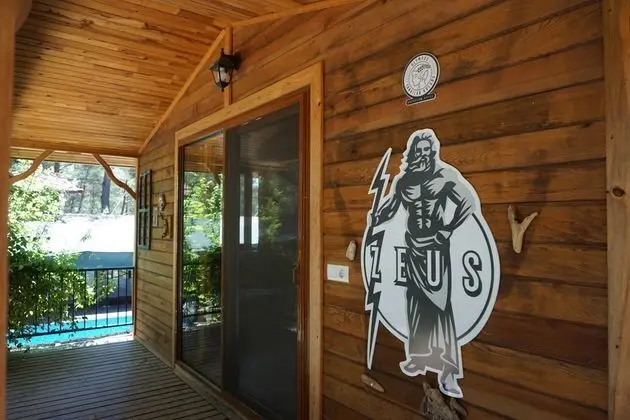 Olympos Mitolojik Tanrılar Kulübü - Genel