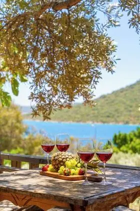 Olympos Mocamp
