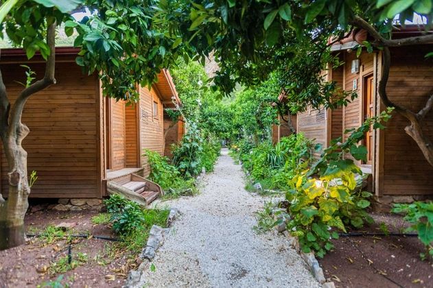 Olympos Sheriff BungalowFotoğrafı