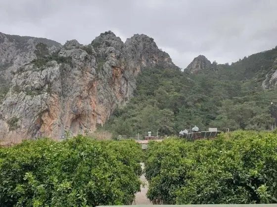 Olympos Tatilya Pansiyon - Oda Düzeni