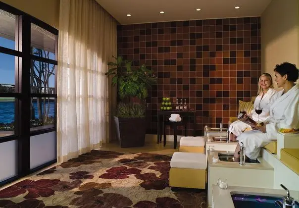 Omni Mandalay Hotel at Las Colinas - Genel