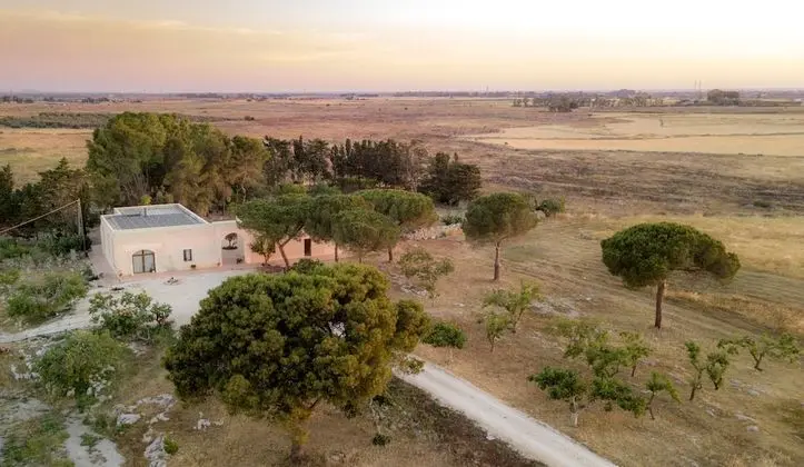 Once Upon a Time in Masseria Sitamara