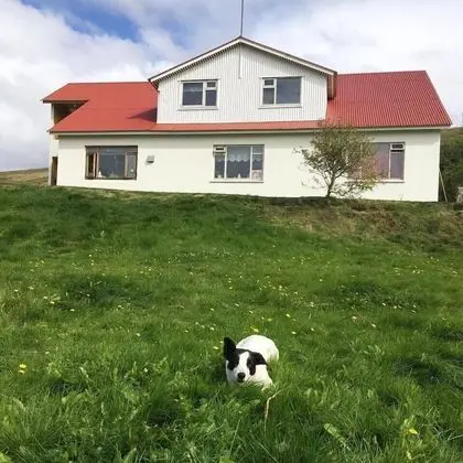 Öndólfsstaðir Farm B&B