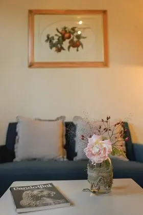 One Bedroom Farmhouse Apartment With Shared Pool in Fattoria Sardi Wine Resort in Lucca - Oda
