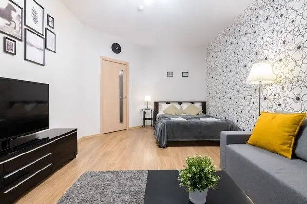 One Bedroom Great View Apartment near Gazprom Arena, UEFA 2022 - Oda