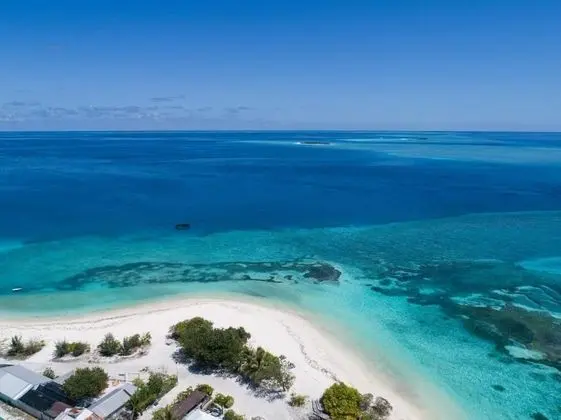 One The Island