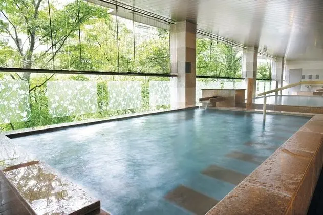 Ooedo Onsen Monogatari Kinugawa Kanko - Ryokan Tesisleri