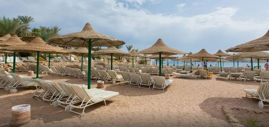 Oonas Dive Club - Plaj