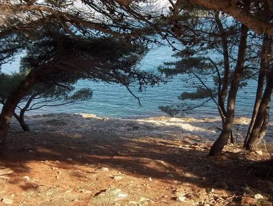 Orange - 30m From Beach - A1 - Plaj