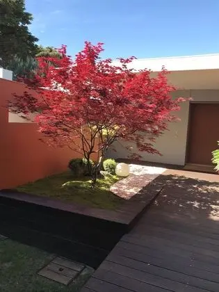 Villa Orange Charm Guesthouse - Dış Mekan