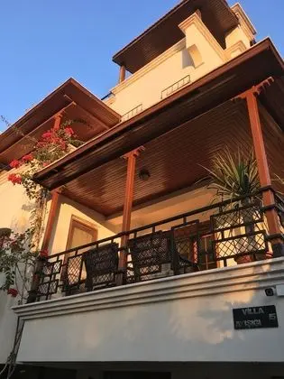 Orange Garden