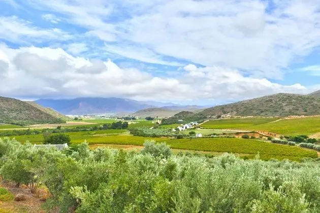 Orange Grove by Totalstay