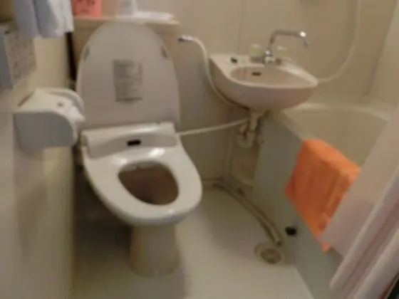 Orange Inn Sendaihigashi - Banyo Tipleri