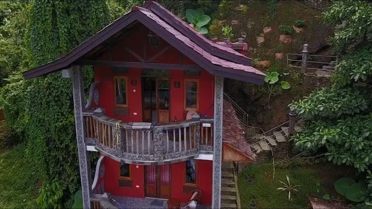 Hotel Orangutan