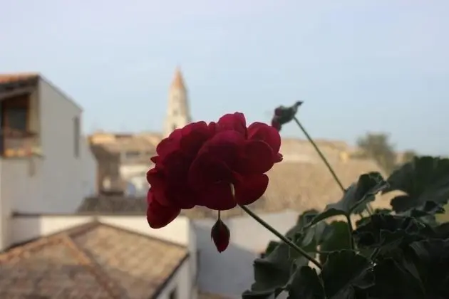 Hotel Orazio - Genel