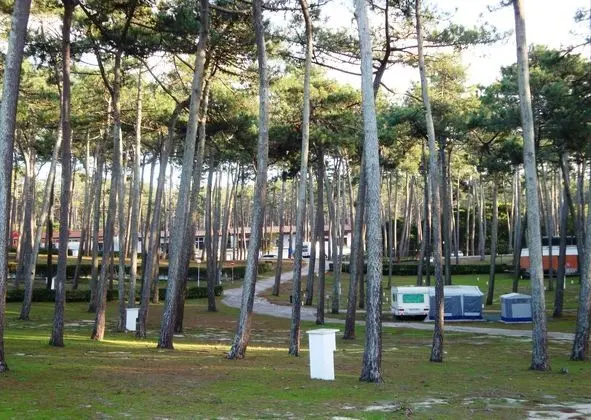Orbitur Sao Pedro de Moel