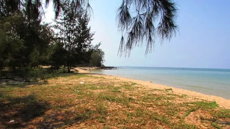 Orchard Fruit Farm Bungalow - Plaj