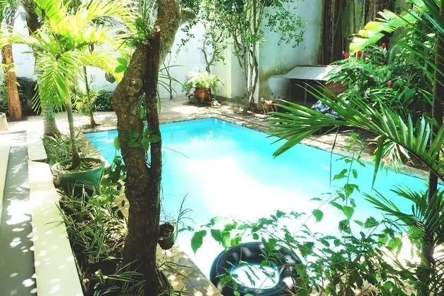 Orchard House - Havuz