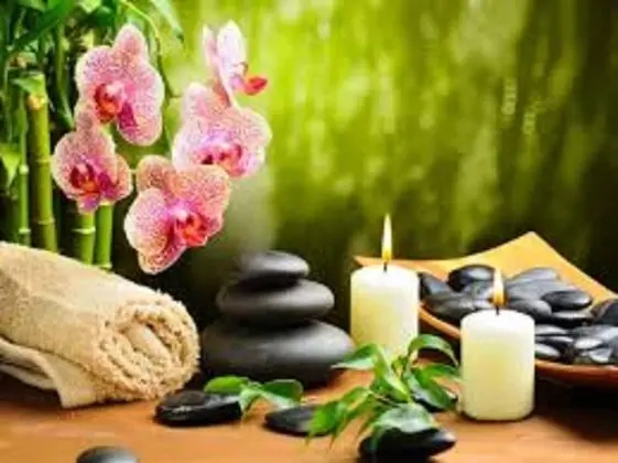 Orchha Palace and Convention Centre - Spa