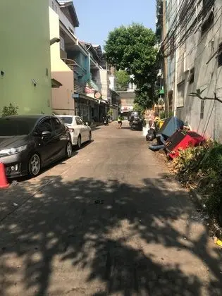 Orchid House - Dış Mekan