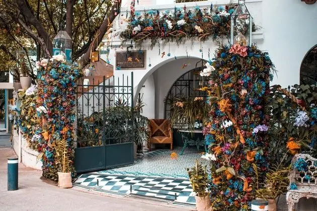 Orchid House Polanco