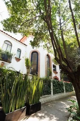 Orchid House Polanco - Dış Mekan