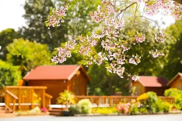 Orere Point TOP 10 Holiday Park - Dış Mekan