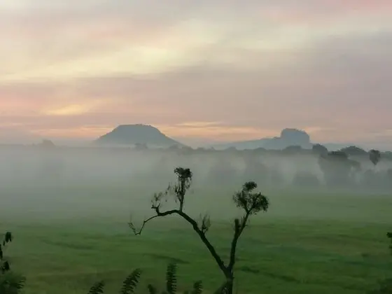 Organic Garden Sigiriya