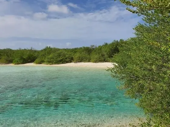 Orimas Retreat - Plaj