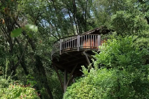 Orion Tree houses - Dış Mekan