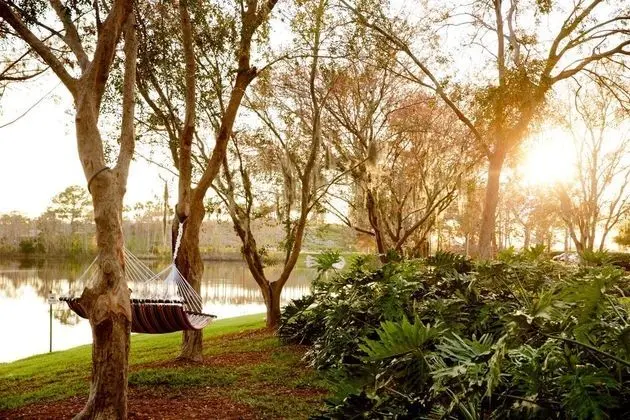 Orlando Airport Marriott Lakeside