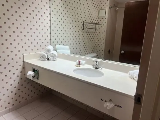 Orlando Palms Hotel - Banyo Tipleri