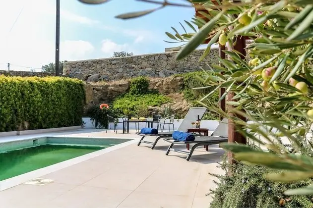 Ortus Ivory Mykonian Luxury Villa - Havuz