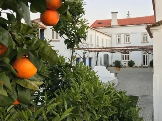 Oryza Guest House & Suites - Dış Mekan