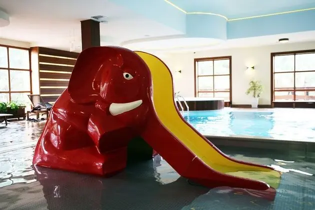 Hotel Osada Karbówko Wellness & Spa - Havuz