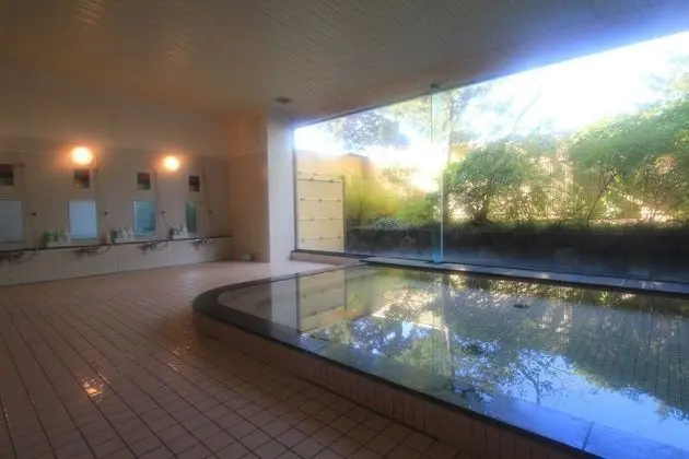 Osaka International Youth Hostel - Spa