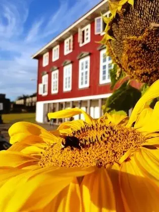 Oslo Hostel Rønningen - Dış Mekan