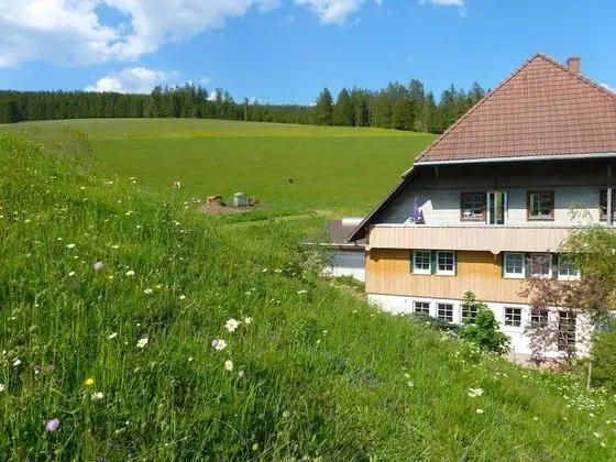 Oswaldenhof V Hrenbach