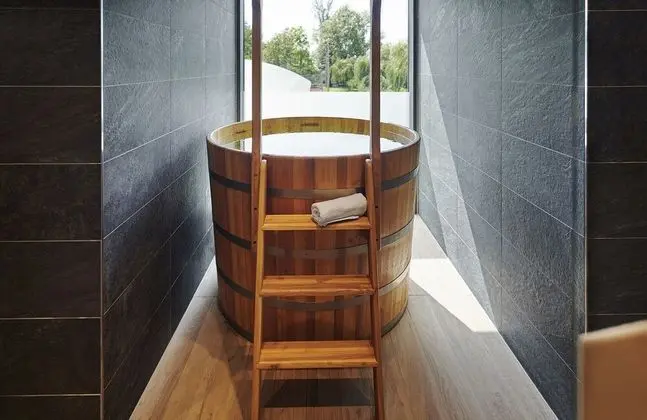 Hotel OTP Balatonszemes - Havuz